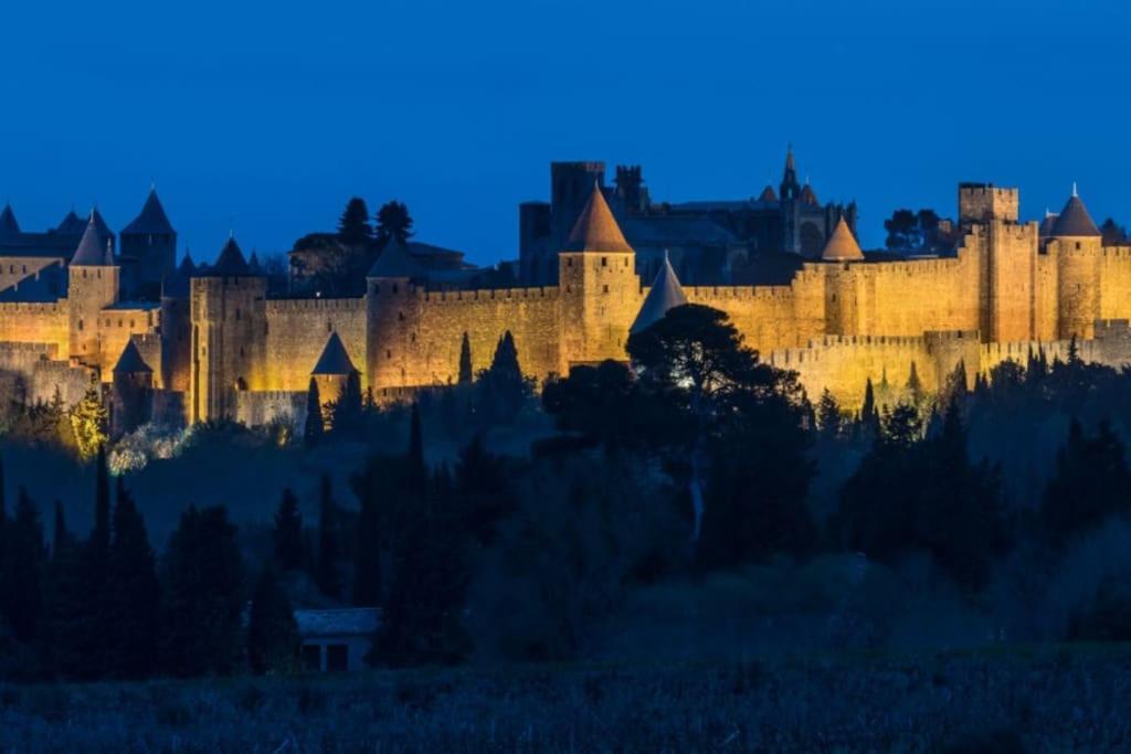 Le Panoramique - Sublime Vue Sur La Cite Leilighet Carcassonne Eksteriør bilde